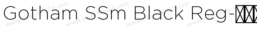 Gotham SSm Black Reg字体转换